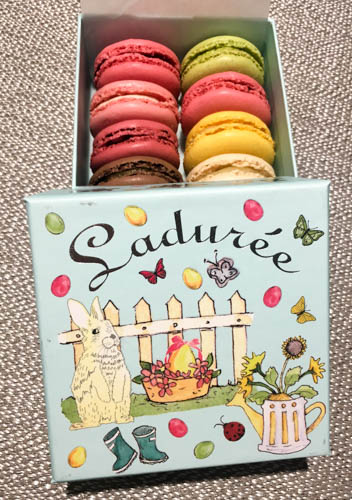 laduree macarons