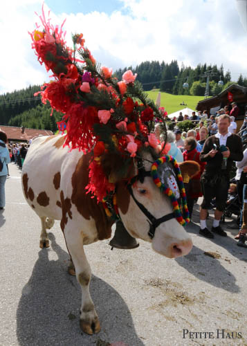 Alpine Cow Festival - Almabtrieb