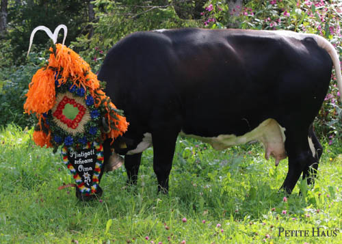 Alpine Cow Festival - Almabtrieb