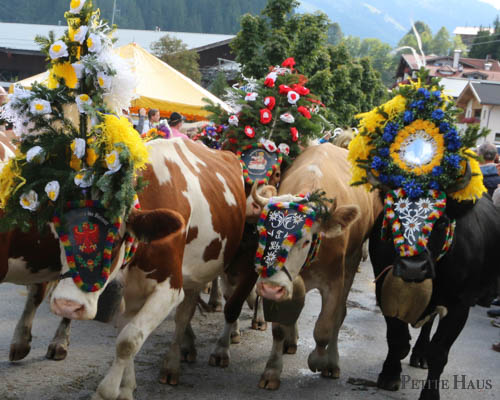 Alpine Cow Festival - Almabtrieb
