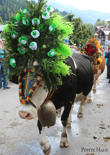 Alpine Cow Festival - Almabtrieb