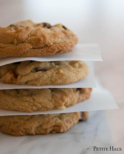 chocolate chip macadamia nut cookies