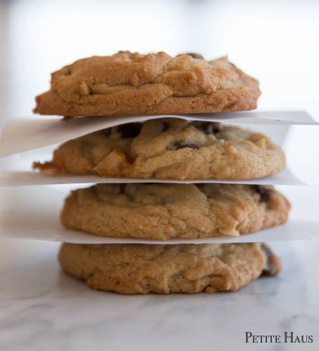 chocolate chip macadamia nut cookies