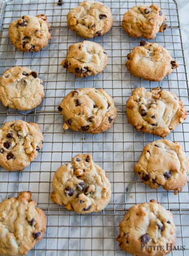 chocolate chip macadamia nut cookies