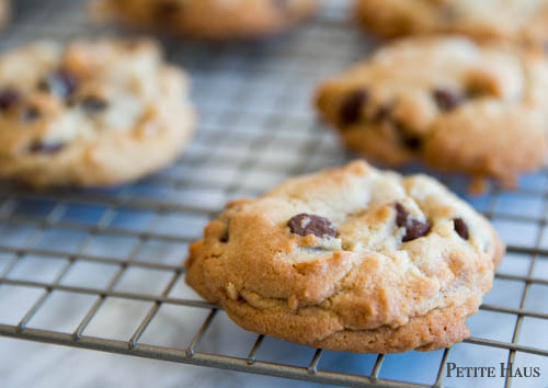 chocolate chip macadamia nut cookies