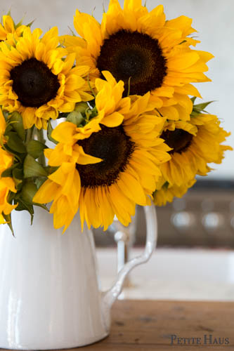 sunflowers