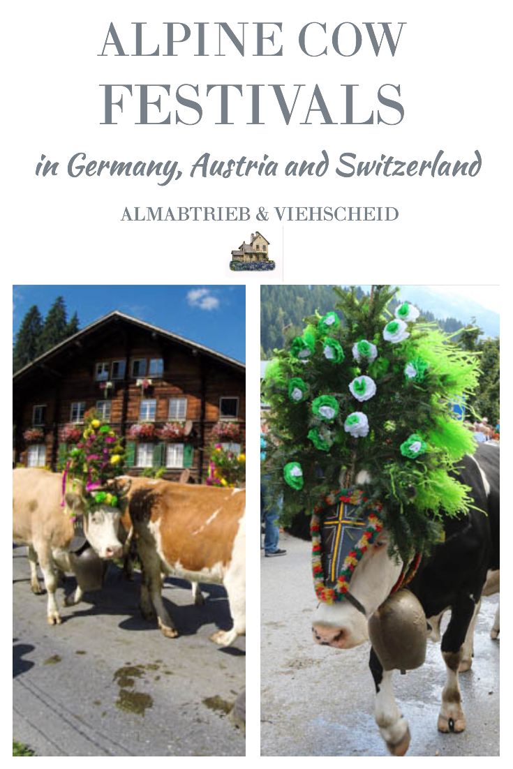 Alpine cow festivals in Austria, Germany, and Switzerland aka Almabtrieb and Veihscheid
