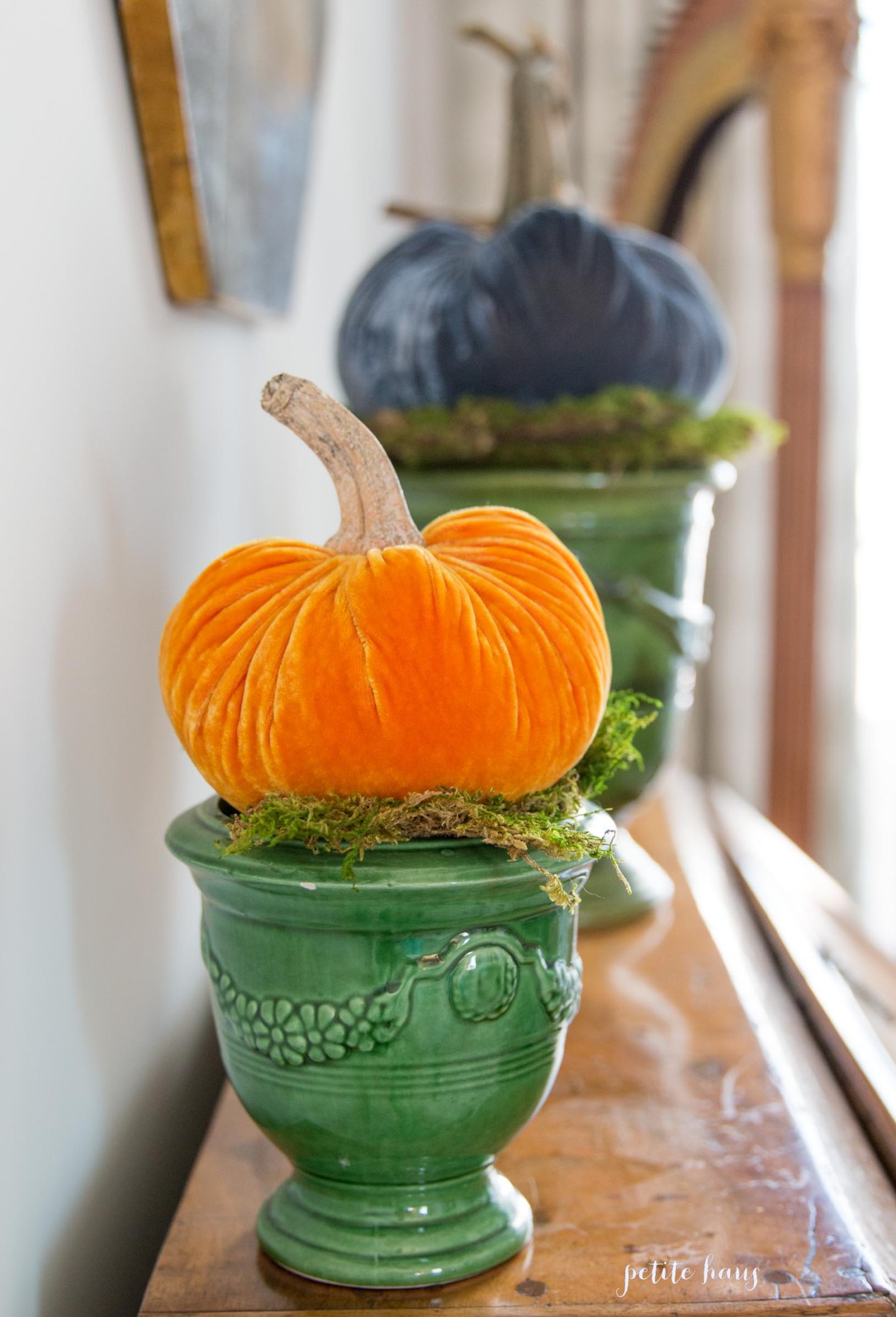 velvet pumpkins in french vases