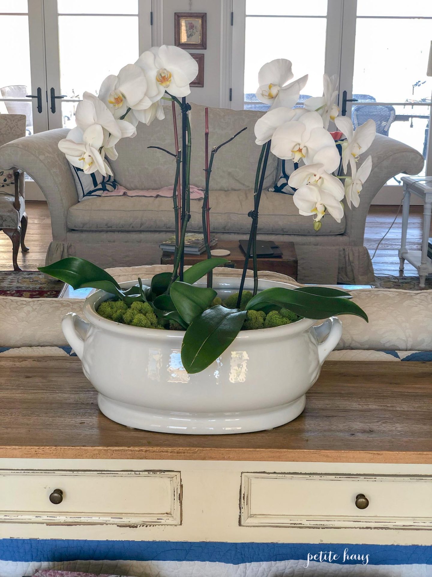 DIY orchid centerpiece in white ironstone bowl