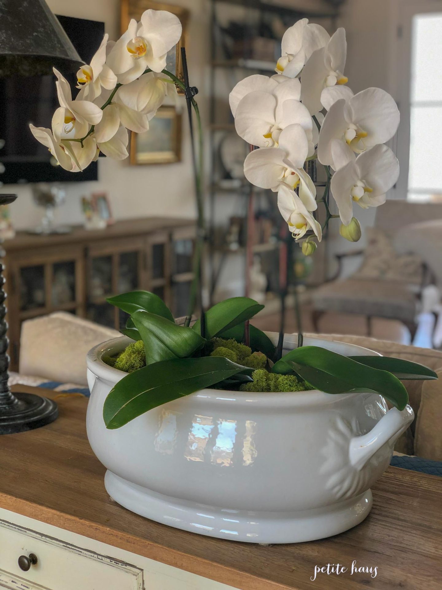 DIY orchid centerpiece in white ironstone bowl