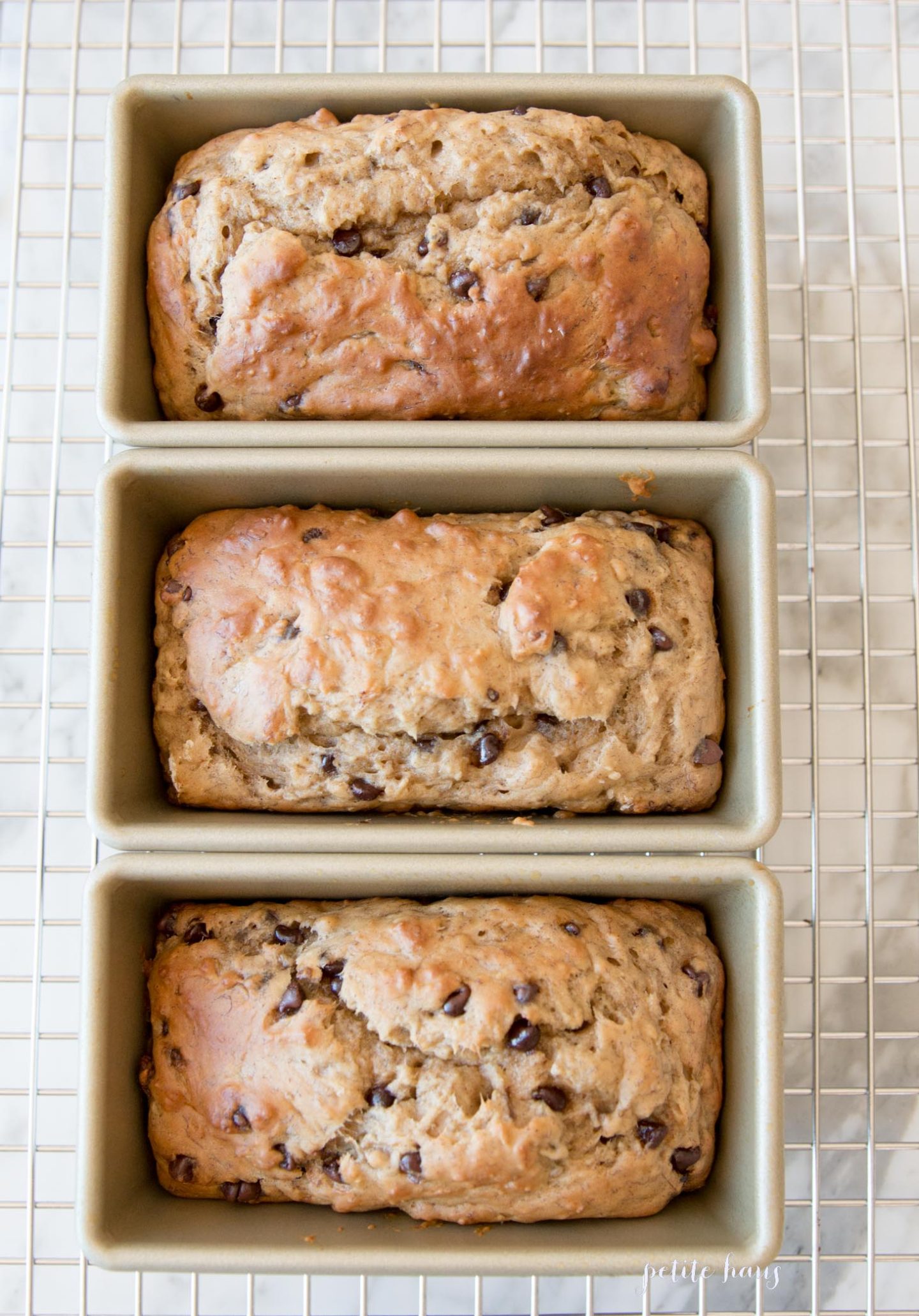 Skinny Guilt-Free Chocolate Chip Banana Bread