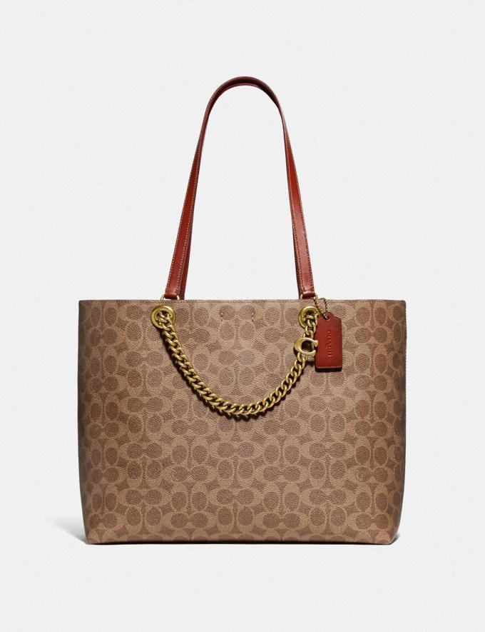 Louis Vuitton's CarryAll Is the Neverfull Chic Sister - PurseBlog