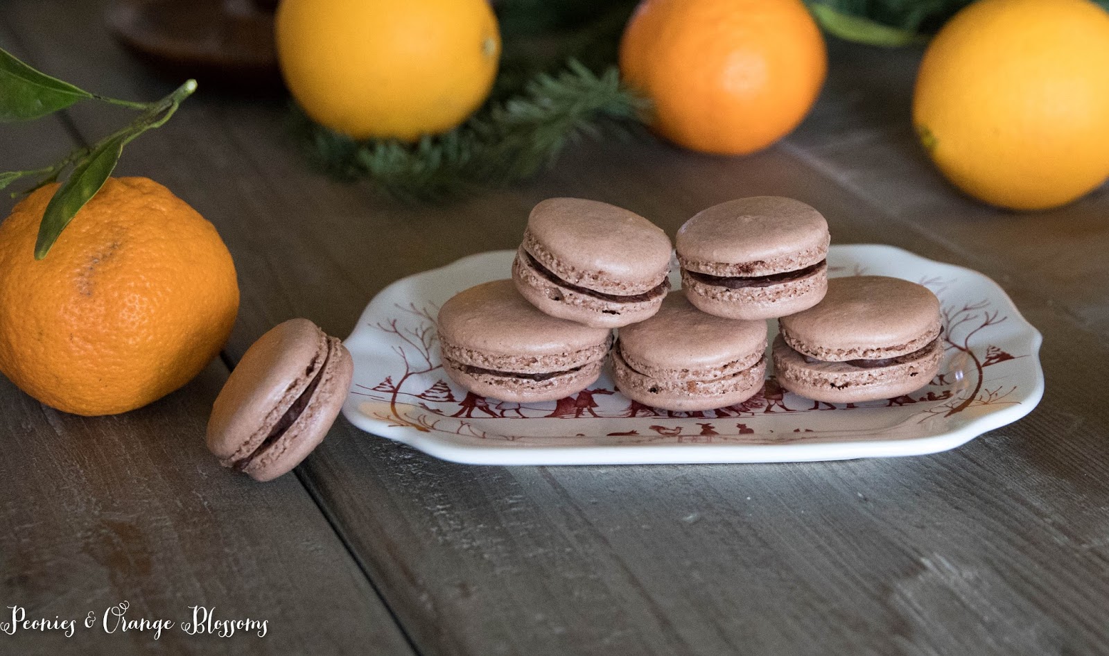 Chocolate Orange Ganache Macarons Chocolate Orange Ganache Macarons