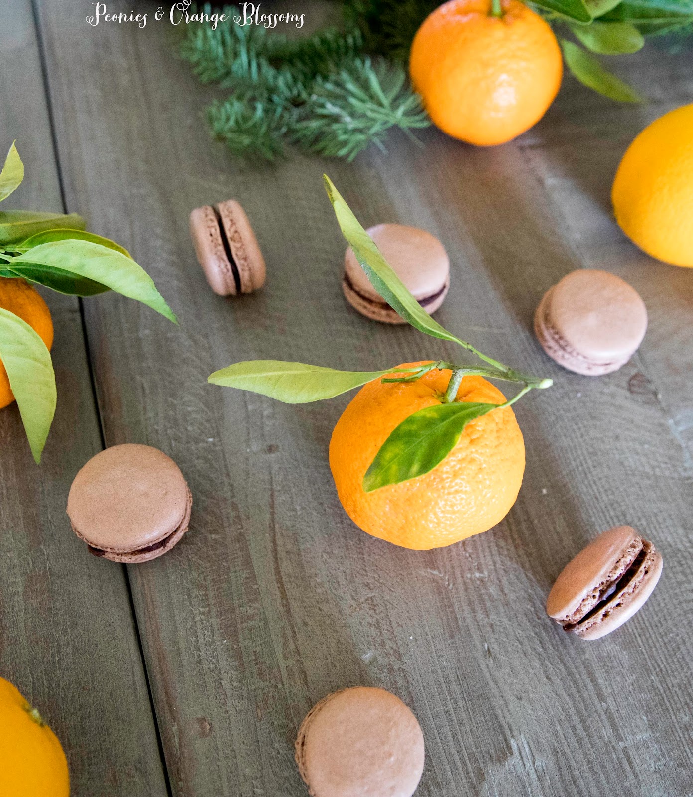 Chocolate Orange Ganache Macarons Recipe Chocolate Orange Ganache Macarons