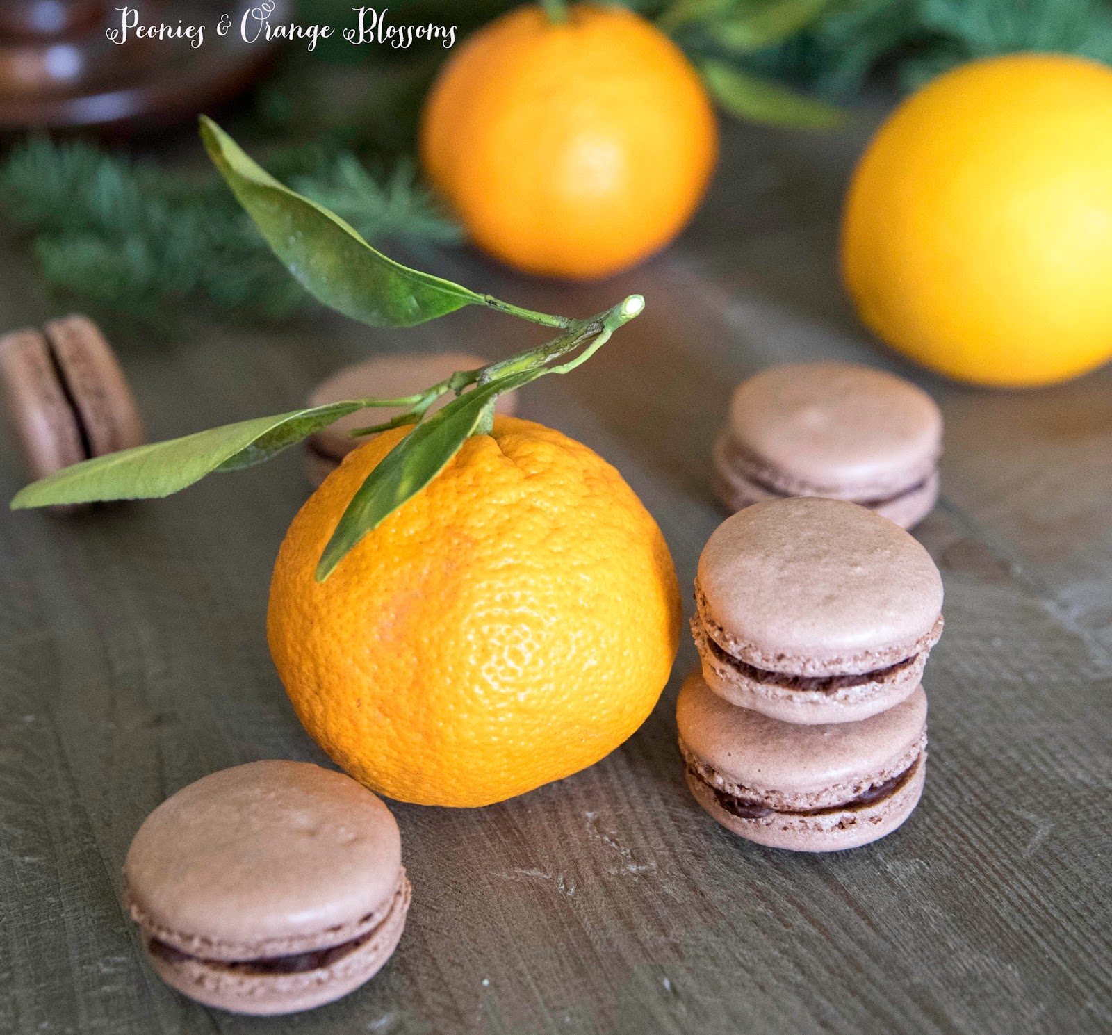 chocolate orange ganache macarons recipe chocolate orange ganache macarons recipe
